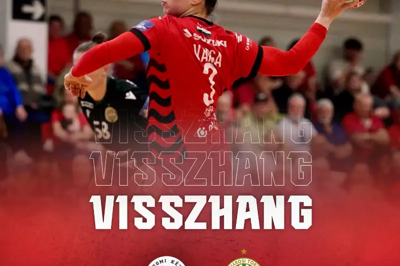  VISSZHANG  FTC